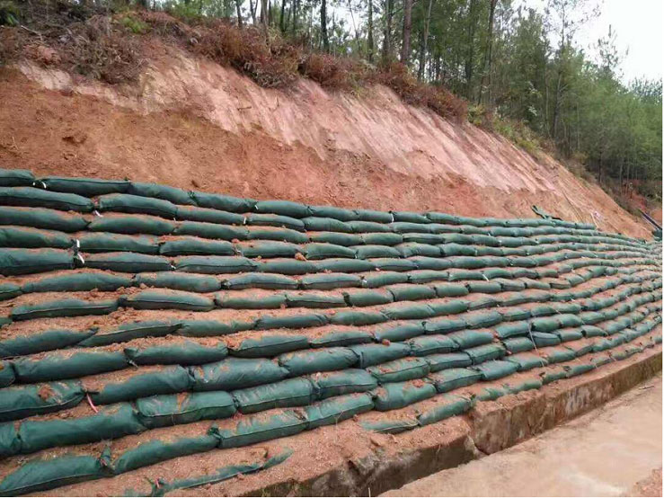 福建泉州生態(tài)護坡施工案例